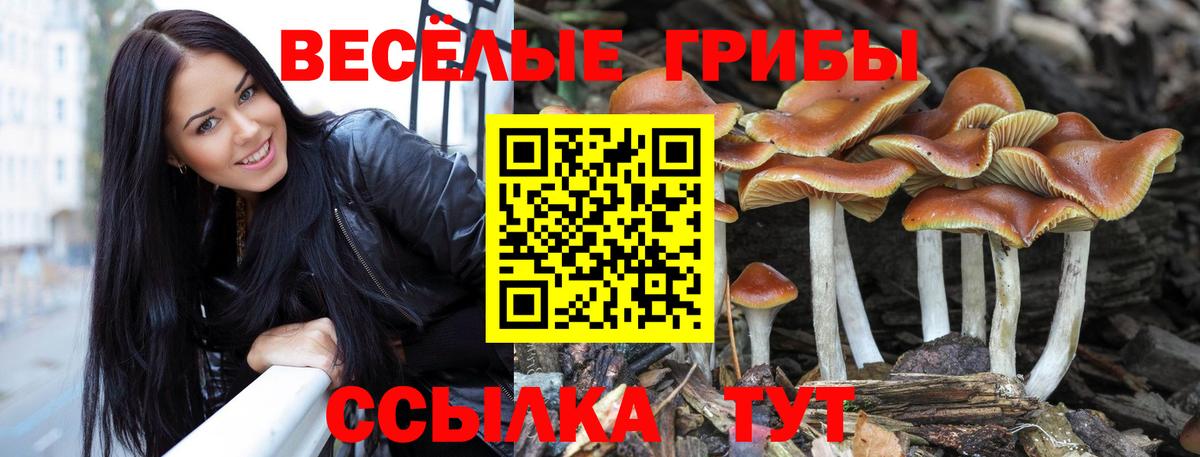 Псилоцибиновые грибы MAGIC MUSHROOMS Электрогорск