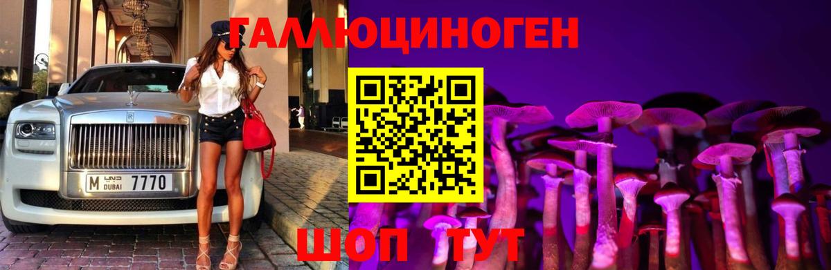 Галлюциногенные грибы Cubensis  Вход с VPN  цена   Галлюциногенные грибы GOLDEN TEACHER  Электрогорск 